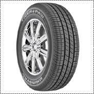 Tiger Paw Touring Tires