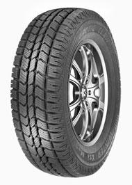 Winter XSI Tires